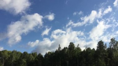 Şehirde rüzgarlı gün