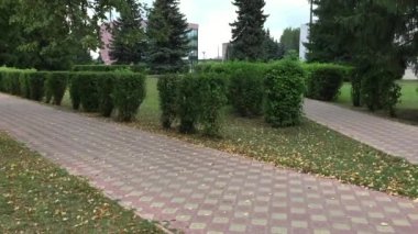 Şehirde rüzgarlı gün