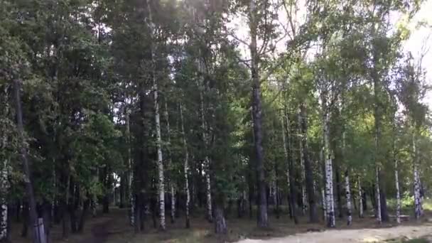 Journée venteuse dans la ville 