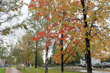 Hüzünlü sonbahar ruh