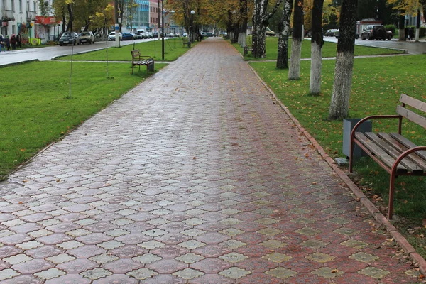 Trieste herfst stemming — Stockfoto