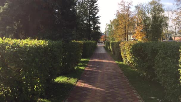 De seizoenen - herfst — Stockvideo