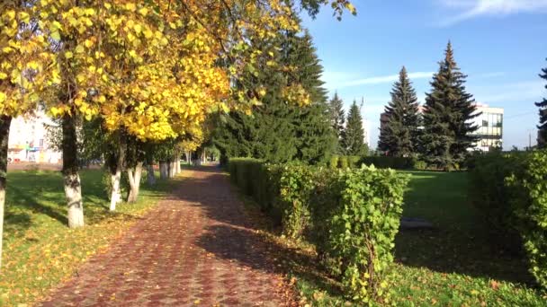 De seizoenen - herfst — Stockvideo