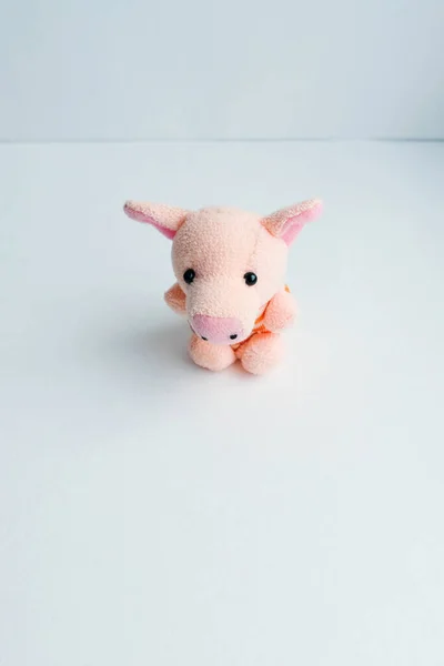 Mjuk leksak gris på en ljus bakgrund — Stockfoto