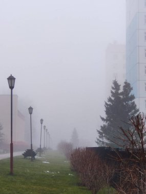 Fenerler ve ağaçlarla şehir caddesinde gizemli bir sis var.