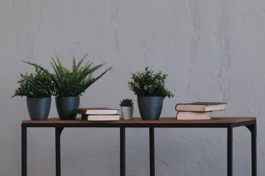 Beton arka plan, iç mekan ve tavan arası alanlarına ait tencere ve kitaplardaki kapalı bitkiler.