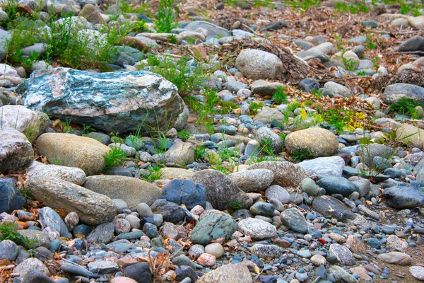 Many stones and grass on the shore — Stock Photo, Image