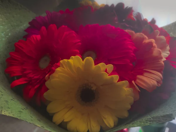 Bouquet of bright multi-colored gerberas, romantic gift — Stock Photo, Image