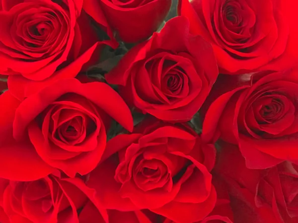 Close up buquê de rosas vermelhas como um presente romântico — Fotografia de Stock