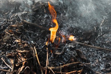 Ateş, alev ve ateşin dumanı, yeryüzünde şenlik ateşi