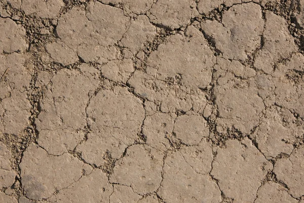 Dry cracked ground, drought, poor soil, no water — Stock Photo, Image