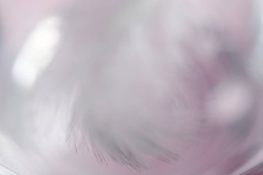 Güzel beyaz kuş tüyü yakın plan, makro, şefkat