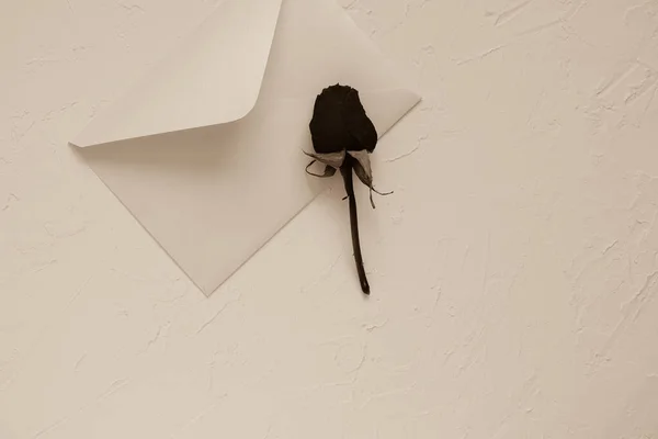 white envelope and dry rose on a white textured background