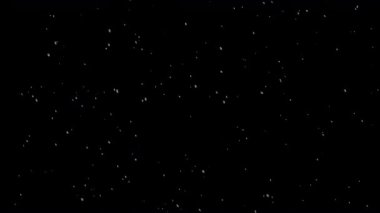 Soyut beyaz parçacıklar yavaşça yüzüyor ve siyah bir zemin üzerinde parıldıyor, ince ve büyüleyici bir görsel etki yaratıyor..