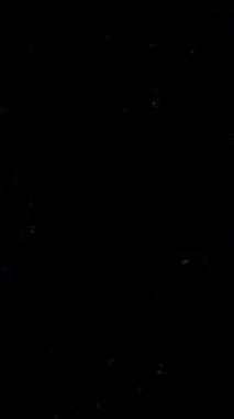 İnce, dinamik ve gizemli görsel efektler yaratan küçük, dağınık beyaz parçacıklardan oluşan karanlık, soyut bir arkaplan. Örtüler veya atmosferik tasarımlar için mükemmel..