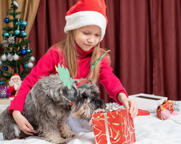 Una Niña Linda Sombrero Santa Claus Regalo Paquete Rojo Perro — Foto de Stock