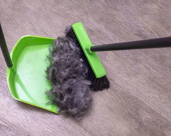 Pet hair care. Pet grooming concept. Close-up of cleaning pile of pet hair with brush and scoop from floor.