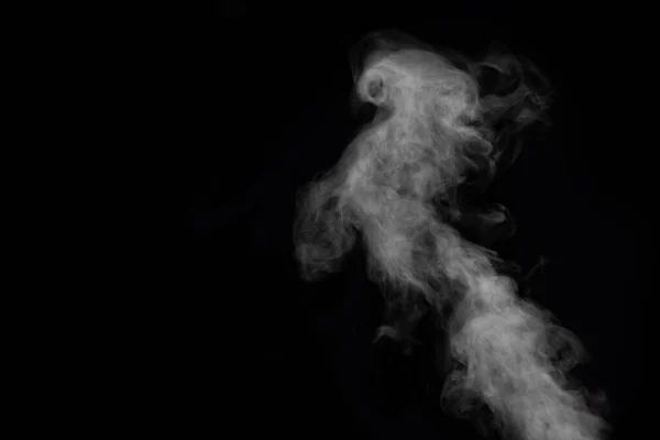 Humo rizado, smog, parece un pájaro sobre un fondo negro, espacio de copia, primer plano. Fondo abstracto, elemento de diseño —  Fotos de Stock