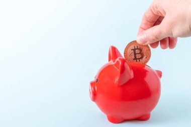 Bir el, kırmızı bir kumbaraya mavi bir arka plan, yakın plan, kopyalama alanı üzerine bir bitcoin koyar. Kripto para birimi tasarruf kavramı.