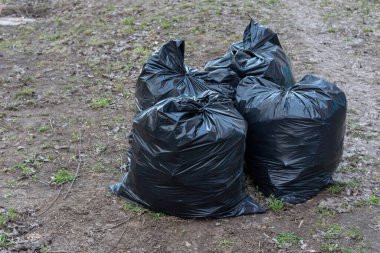 Yerde çöp toplama servisine teslim edilecek birkaç siyah çöp torbası var. Şehir sokaklarından çöp temizleme. Şehir sokaklarının mevsimlik temizliği.