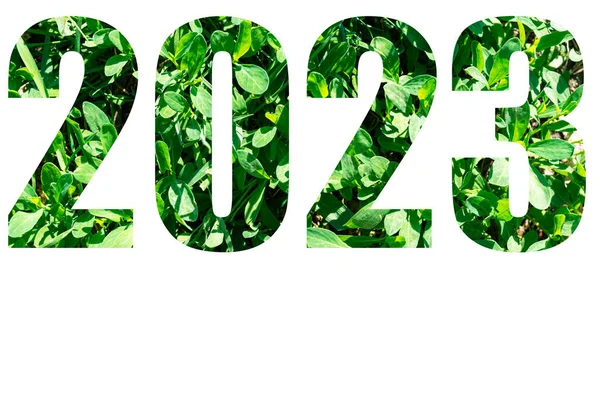 Πρωτοχρονιάτικη κάρτα. Αριθμοί του έτους 2023 από πράσινο γρασίδι απομονώνονται σε λευκό φόντο. Στοιχεία για το σχεδιασμό σας — Φωτογραφία Αρχείου