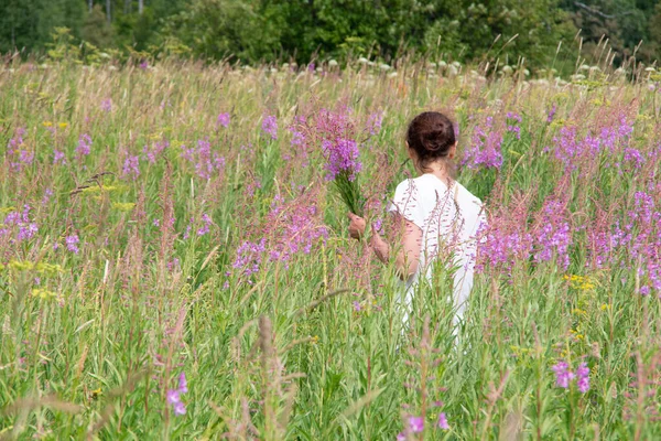 Junge Frau pflückt Blumen von Ivan-Tee, Chamerion Angustifolium, Feuerkraut in einem Strauß auf dem Feld — Stockfoto