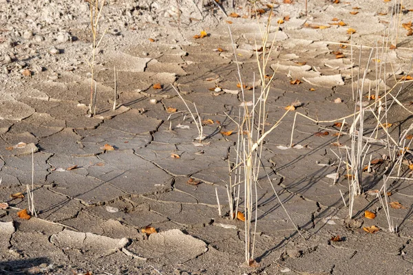 Su dokusu olmayan kurak topraklar. Gezegendeki küresel su kıtlığı. Küresel ısınma ve sera etkisi — Stok fotoğraf