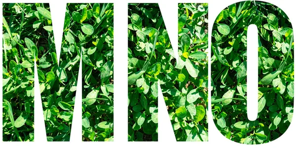 英语字母表。字母M N O从绿色的草地上分离的白色背景。你的设计元素 — 图库照片