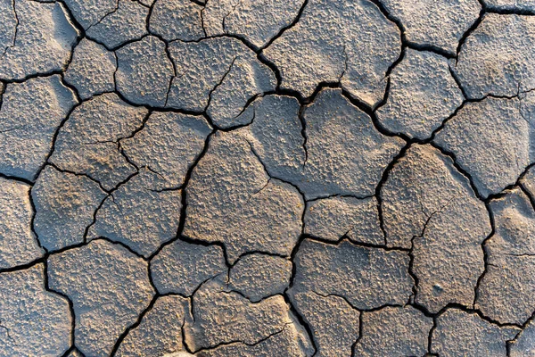 Drought land without water texture. Global water scarcity on the planet. Global warming and greenhouse effect