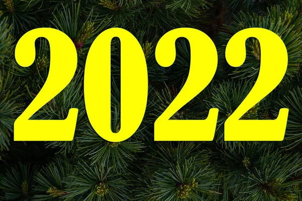 Numbers 2022 Background Pine Branches Close Natural Christmas Background Beautiful — Stock Photo, Image