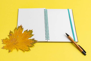 Boş defter, günlük kalem ve akçaağaç yapraklarını sarı arka planda aç, yakın plan. Not defteri, kalem, yapraklar - okulun sembolleri. Okul konseptine dönelim..