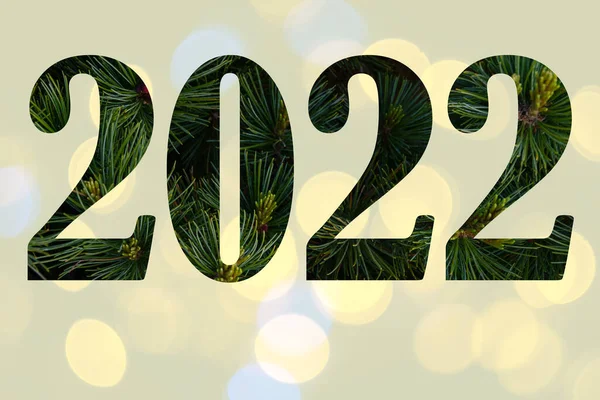 Числа 2022 Соснових Гілок Крупним Планом Світло Жовтому Тлі Красивим — стокове фото
