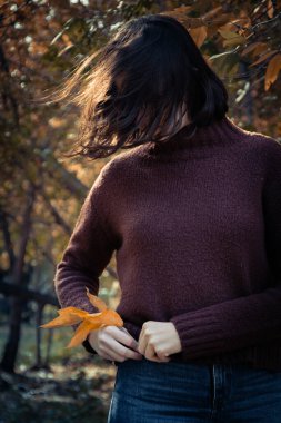Kahverengi kazaklı esmer kız pantolonunun cebine sarı yapraklar koyar. Sonbaharın sarı yaprakları ve süveter sembolü.