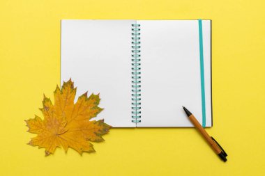Boş defter, günlük kalem ve akçaağaç yapraklarını sarı arka planda aç, yakın plan. Not defteri, kalem, yapraklar - okulun sembolleri. Okul konseptine dönelim..