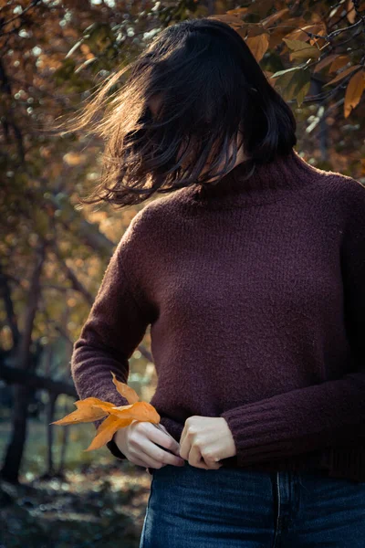 Brunette girl in a brown sweater puts yellow leaves in a jeans pocket, vertical frame. Yellow leaves and sweater symbol of autumn.