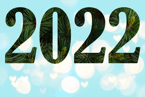 Numbers 2022 Pine Branches Close Light Blue Background Beautiful Bokeh — Stock Photo, Image