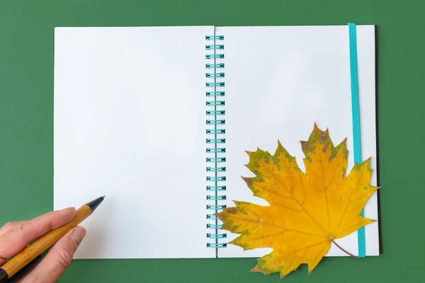 Handpen Open Blanco Notitieboekje Met Geel Esdoornblad Groene Achtergrond Bedrijfsconcept — Stockfoto