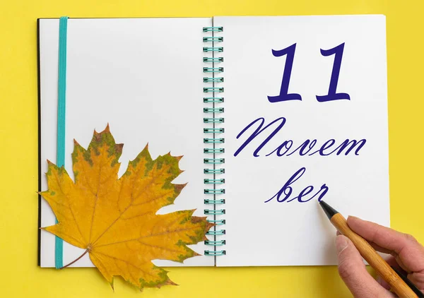 11º Día Noviembre Mano Escribiendo Fecha Noviembre Cuaderno Abierto Con — Foto de Stock