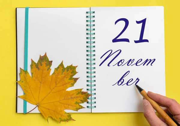 Noviembre Mano Escribiendo Fecha Noviembre Cuaderno Abierto Con Una Hermosa — Foto de Stock