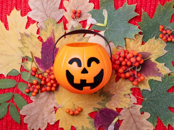 Halloween Jack o Latarnia ze słodyczami na kolorowym jesiennym tle z suszonych liści i jagód jarzębiny pomarańczowej — Zdjęcie stockowe