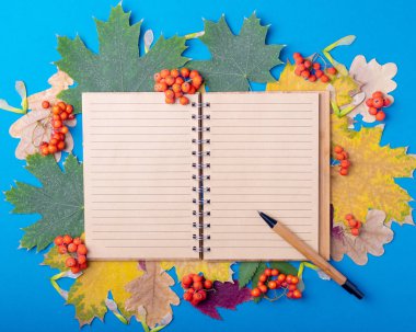 Düz çizgi çizgili defter ve kalem sonbaharda düşmüştü. Mavi arka planda kurumuş renkli yapraklar vardı..