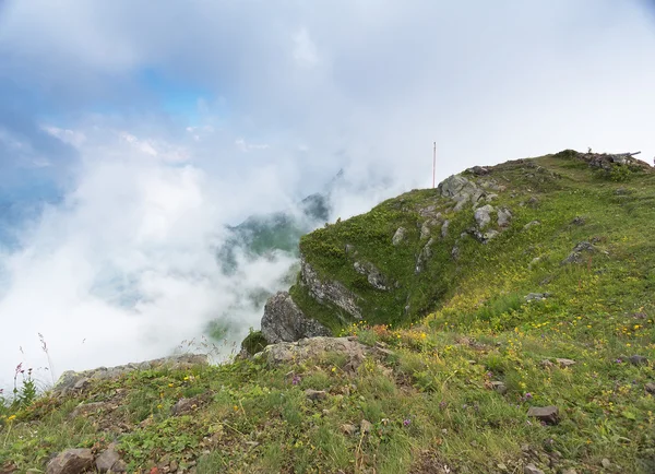 Ορεινό τοπίο ημέρα Rosa Khutor στο Κράσναγια Πολιάνα το καλοκαίρι — Φωτογραφία Αρχείου