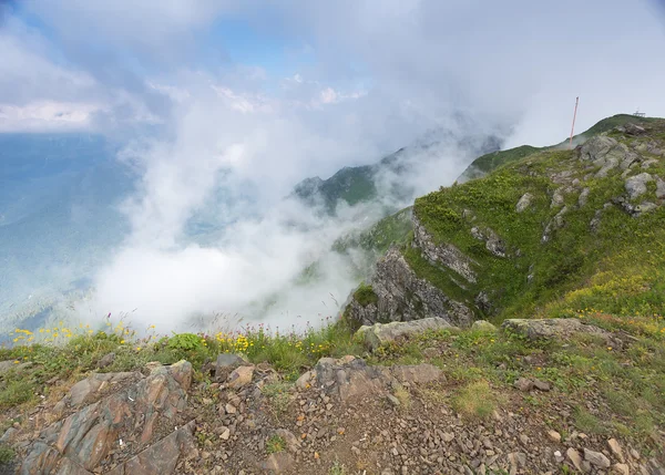 Yaz aylarında dağ manzara gün Krasnaya Polyana Rosa Khutor — Stok fotoğraf
