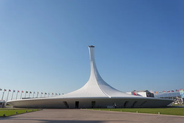 23 iulie - Sochi, Rusia: Fântâna cântând în Parcul Olimpic sub formă de sculptură "Firebird " — Fotografie, imagine de stoc