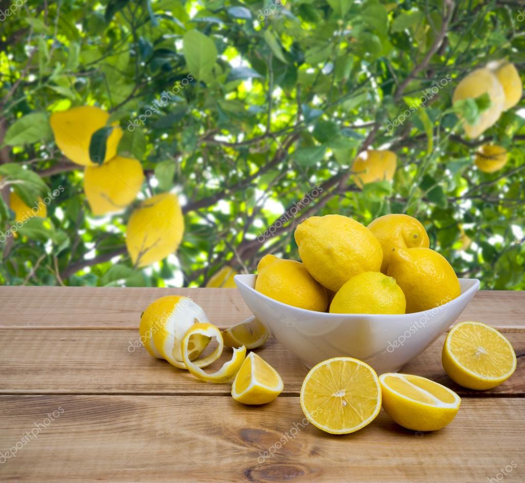 Placa con limones sobre mesa de madera sobre fondo de árbol frutal