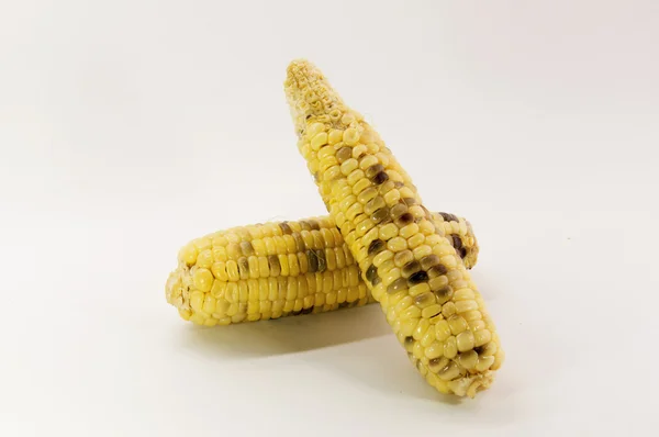 Maïs, jaune délicieux bouilli. sur fond blanc — Photo