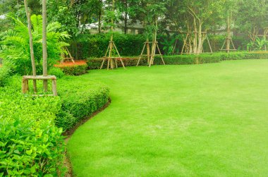 Taze yeşil çimenli bahçe hem çalılık hem de çiçek ön bahçe manzarası tasarımı evin bahçesinde çalı kıvrımı olan taze çimenler..