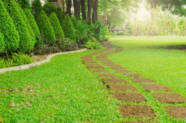 Laterite 'in halk parkındaki yeşil çimlerin arka bahçesindeki basamak şablonu, Laterite' in eğri kaldırım şablonu halka açık parktaki yeşil çimenler, arka plandaki ağaçlar....