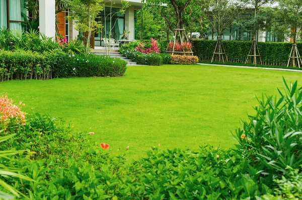 Parktaki ev, yeşil çimen, ön bahçe güzel tasarlanmış bahçe, bahçedeki çiçekler, yeşil çimenler, manzaralı ön bahçeli modern ev, çimen ve bahçe bulanık arka plan..