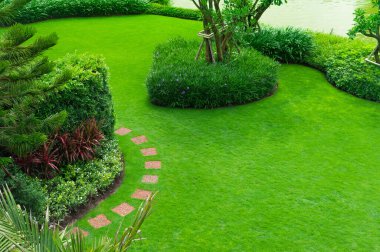 Beautiful garden beside the lake Walkway stone sheet with garden landscape design freshly mowed lawn top view garden landscape design with paths intersecting bright green grass shrub lawn care service clipart